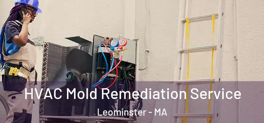  HVAC Mold Remediation Service Leominster - MA