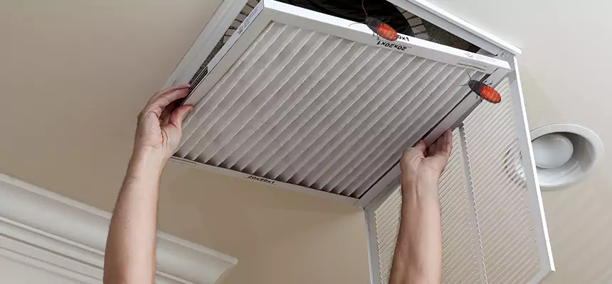 Our Insect Removal from Air Ducts Services in Leominster, MA