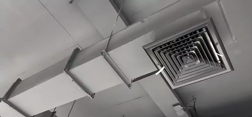 Our Rodent Droppings In Vents Services in Leominster, MA