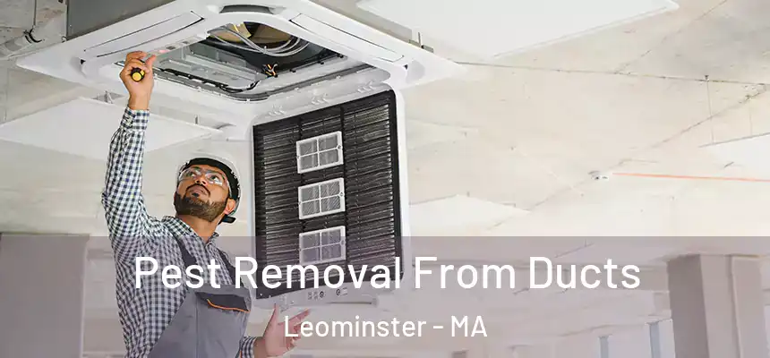  Pest Removal From Ducts Leominster - MA