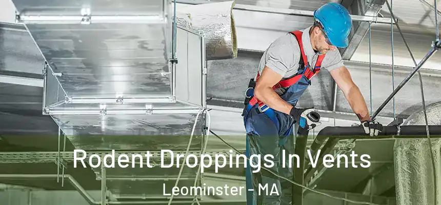  Rodent Droppings In Vents Leominster - MA