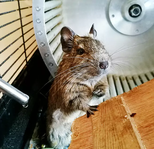 Why Homeowners & Businesses Trust Us Leominster, MA?